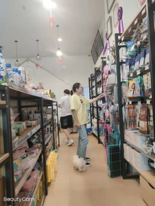 上海尊寵寵物代理商聯盟增值服務再升級 賦能線下門店新動力